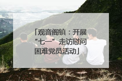 观音阁镇：开展“七一”走访慰问困难党员活动