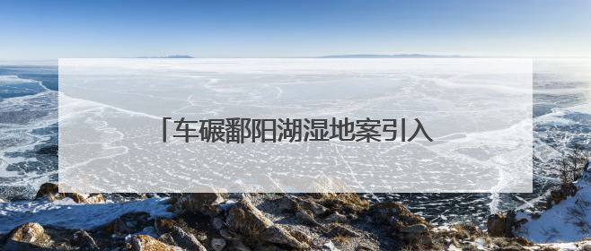 车碾鄱阳湖湿地案引入劳动代偿：生态法治在创新尝试｜有一说一