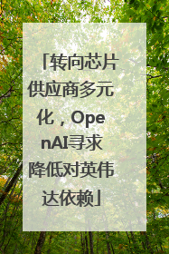 转向芯片供应商多元化，OpenAI寻求降低对英伟达依赖
