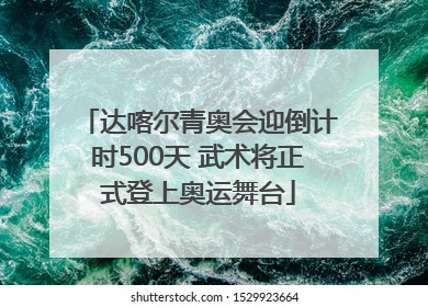达喀尔青奥会迎倒计时500天 武术将正式登上奥运舞台