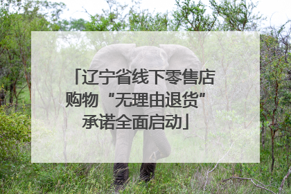 辽宁省线下零售店购物“无理由退货”承诺全面启动
