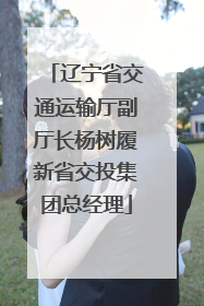 辽宁省交通运输厅副厅长杨树履新省交投集团总经理