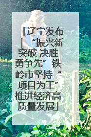 辽宁发布｜“振兴新突破 决胜勇争先”铁岭市坚持“项目为王”推进经济高质量发展