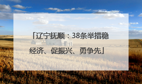 辽宁抚顺：38条举措稳经济、促振兴、勇争先