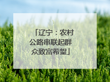 辽宁：农村公路串联起群众致富希望