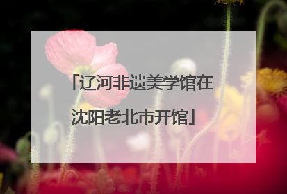 辽河非遗美学馆在沈阳老北市开馆
