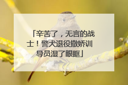 辛苦了，无言的战士！警犬退役撒娇训导员湿了眼眶