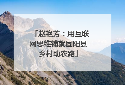 赵艳芳：用互联网思维铺就固阳县乡村助农路