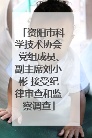 资阳市科学技术协会党组成员、副主席刘小彬 接受纪律审查和监察调查