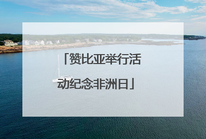 赞比亚举行活动纪念非洲日