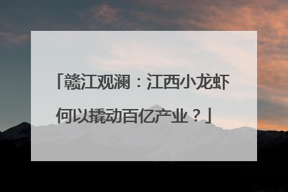 赣江观澜：江西小龙虾何以撬动百亿产业？