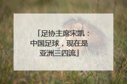 足协主席宋凯：中国足球，现在是亚洲三四流