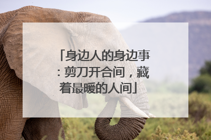 身边人的身边事：剪刀开合间，藏着最暖的人间