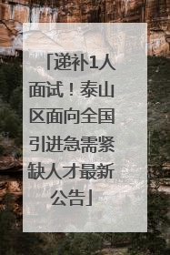 递补1人面试！泰山区面向全国引进急需紧缺人才最新公告