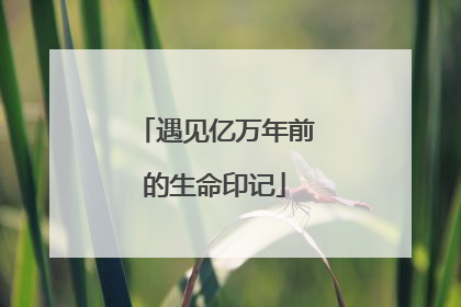 遇见亿万年前的生命印记