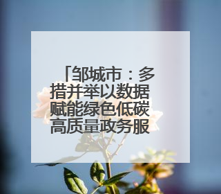 邹城市：多措并举以数据赋能绿色低碳高质量政务服务新模式