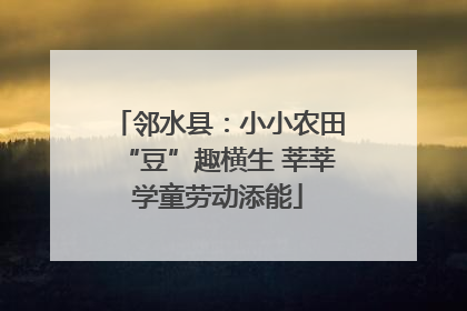 邻水县：小小农田“豆”趣横生 莘莘学童劳动添能
