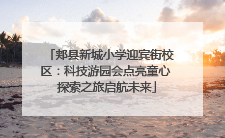 郏县新城小学迎宾街校区：科技游园会点亮童心 探索之旅启航未来