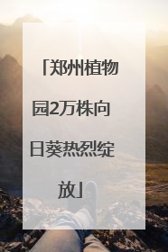 郑州植物园2万株向日葵热烈绽放