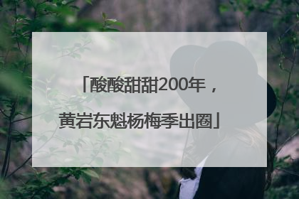 酸酸甜甜200年，黄岩东魁杨梅季出圈