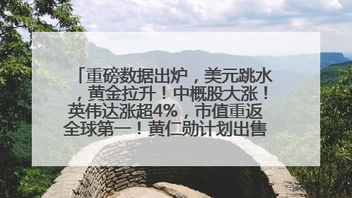 重磅数据出炉，美元跳水，黄金拉升！中概股大涨！英伟达涨超4%，市值重返全球第一！黄仁勋计划出售至多600万股股票