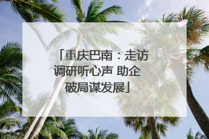 重庆巴南：走访调研听心声 助企破局谋发展