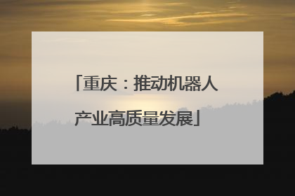 重庆：推动机器人产业高质量发展