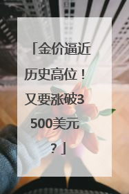 金价逼近历史高位！又要涨破3500美元？