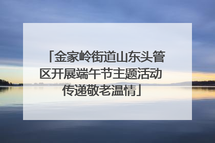 金家岭街道山东头管区开展端午节主题活动 传递敬老温情