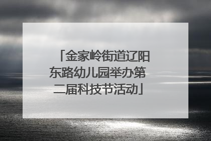 金家岭街道辽阳东路幼儿园举办第二届科技节活动
