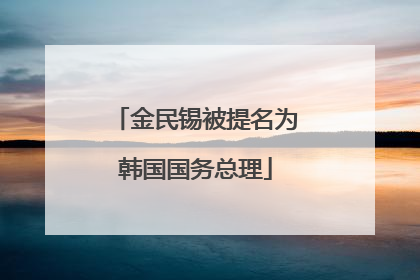 金民锡被提名为韩国国务总理