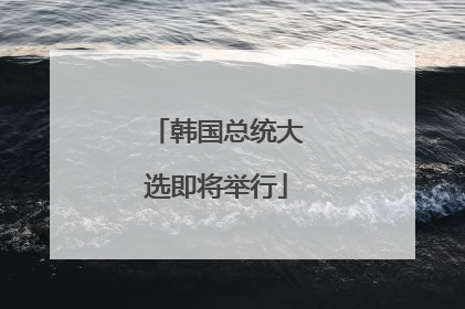 韩国总统大选即将举行