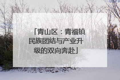 青山区：青福镇民族团结与产业升级的双向奔赴