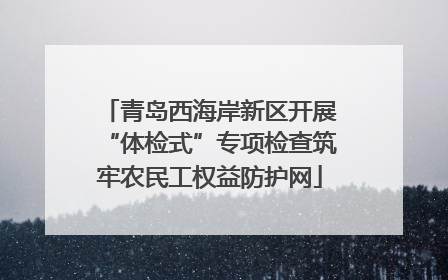 青岛西海岸新区开展“体检式”专项检查筑牢农民工权益防护网
