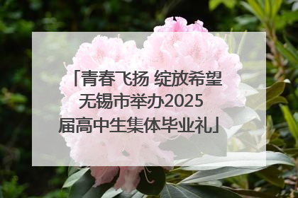 青春飞扬 绽放希望 无锡市举办2025届高中生集体毕业礼