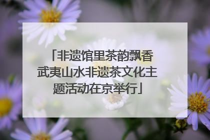 非遗馆里茶韵飘香 武夷山水非遗茶文化主题活动在京举行
