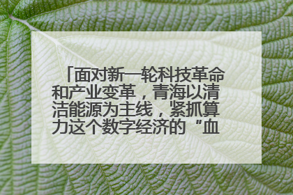 面对新一轮科技革命和产业变革,青海以清洁能源为主线,紧抓算力这个数字经济的“血液”、科技主权的“筹码”、产业升级的“杠杆”、绿色转型的“支点”,勇于撬动国家“双碳”战略、“东数西算”工程重大发展新机遇,点亮绿色算电协同新赛道,蹚出一条符合本地实际的高质量发展之路——青海:“绿色算力” 锚定“东数西算”国家战略布局