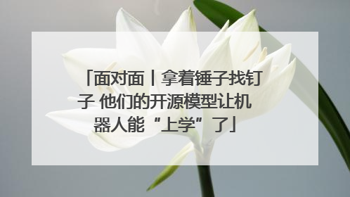 面对面丨拿着锤子找钉子 他们的开源模型让机器人能“上学”了