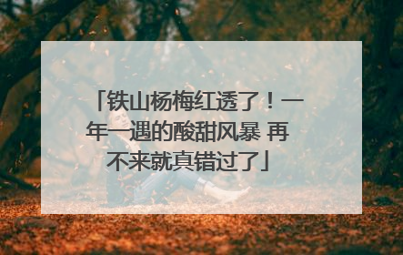 铁山杨梅红透了！一年一遇的酸甜风暴 再不来就真错过了