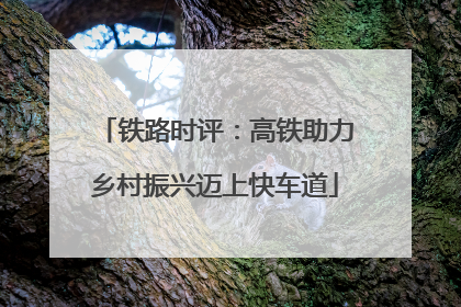 铁路时评：高铁助力乡村振兴迈上快车道