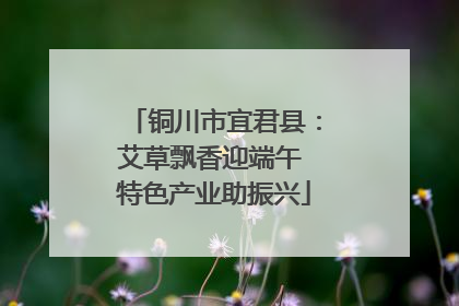铜川市宜君县：艾草飘香迎端午 特色产业助振兴