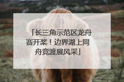 长三角示范区龙舟赛开桨！边界湖上同舟竞渡展风采