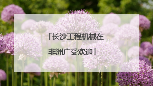 长沙工程机械在非洲广受欢迎
