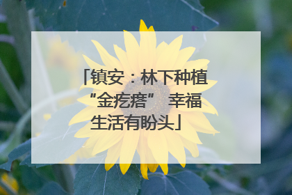 镇安：林下种植“金疙瘩” 幸福生活有盼头