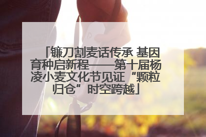 镰刀割麦话传承 基因育种启新程——第十届杨凌小麦文化节见证“颗粒归仓”时空跨越