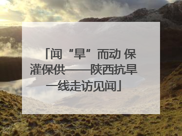 闻“旱”而动 保灌保供——陕西抗旱一线走访见闻