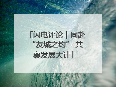 闪电评论｜同赴“友城之约” 共襄发展大计