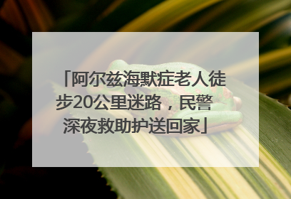 阿尔兹海默症老人徒步20公里迷路，民警深夜救助护送回家