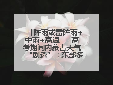 阵雨或雷阵雨+中雨+高温……高考期间内蒙古天气“剧透”：东部多雨，西部晴晒！局地有短时强降水