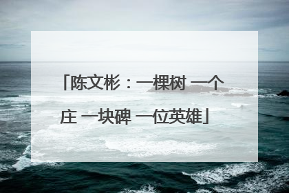 陈文彬：一棵树 一个庄 一块碑 一位英雄